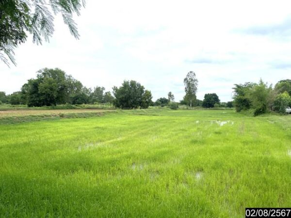 01 Empty Land _photo