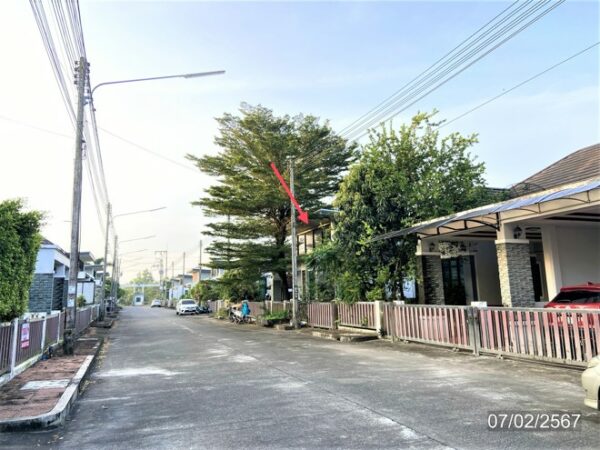 02 Single House _photo