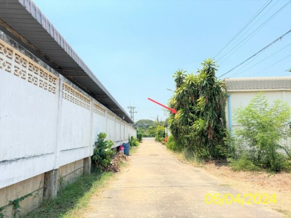 02 Single House _photo