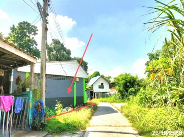 02 Single House _photo