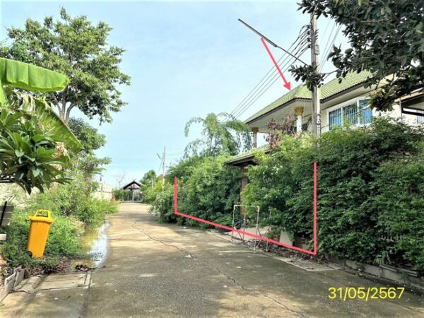 02 Single House _photo