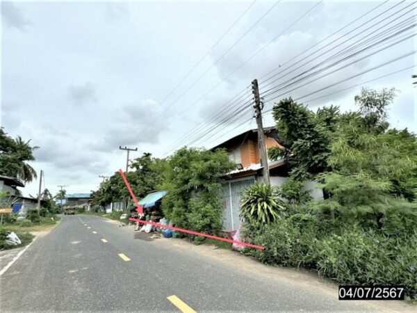 02 Single House _photo