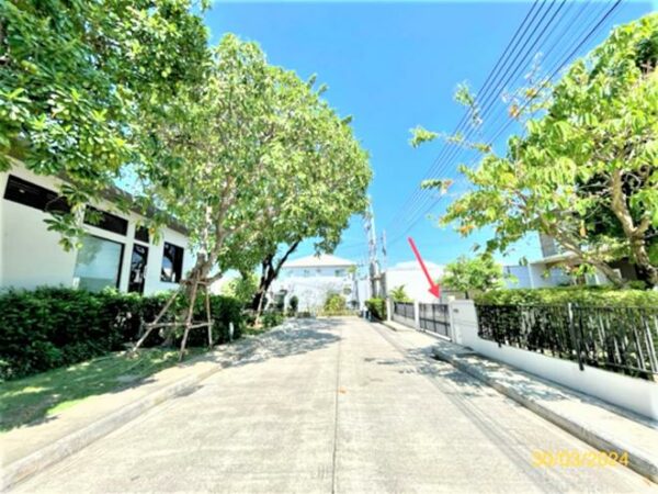 02 Single House _photo