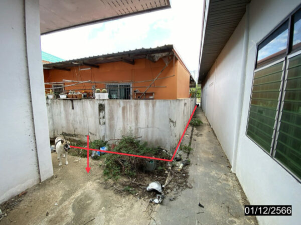 02 Single House _photo