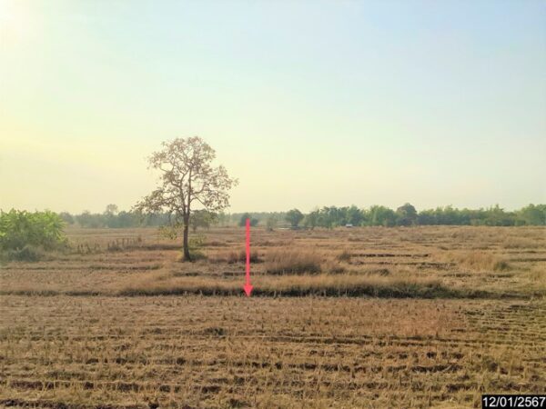 01 Empty Land _photo