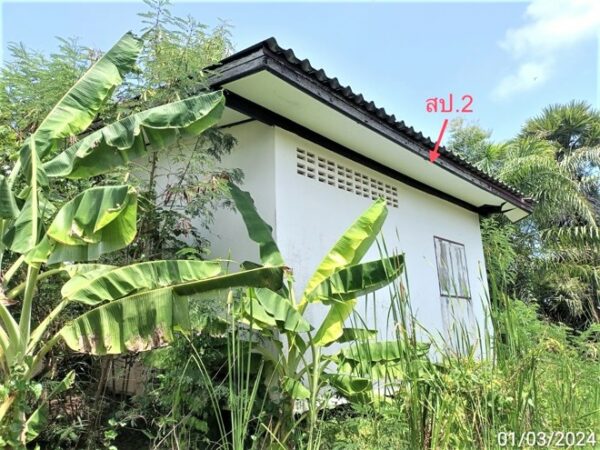 02 Single House _photo