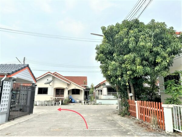 02 Single House _photo