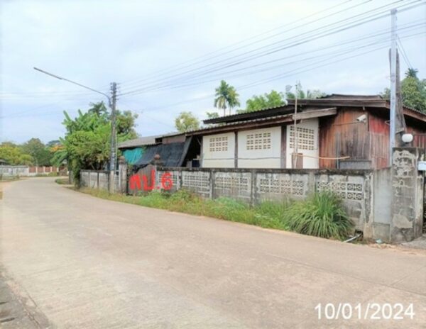 02 Single House _photo