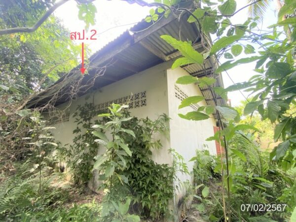 02 Single House _photo