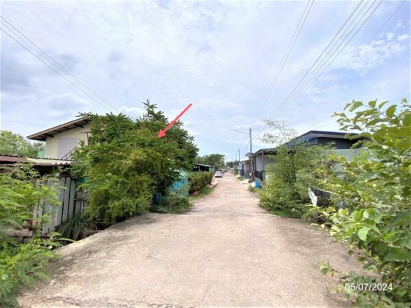 02 Single House _photo