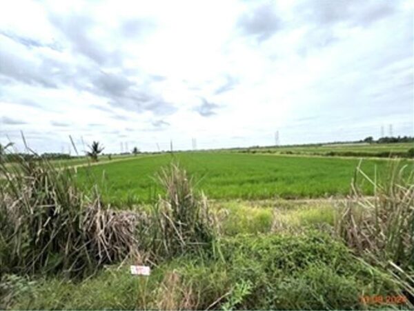 01 Empty Land _photo