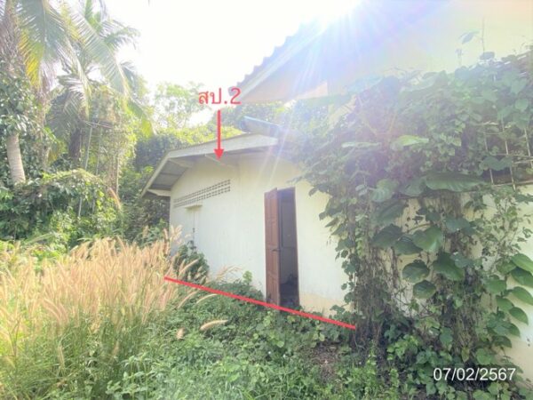 02 Single House _photo