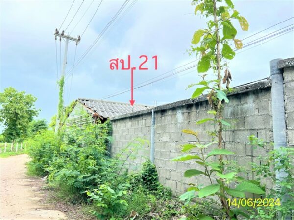 02 Single House _photo