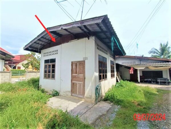 02 Single House _photo