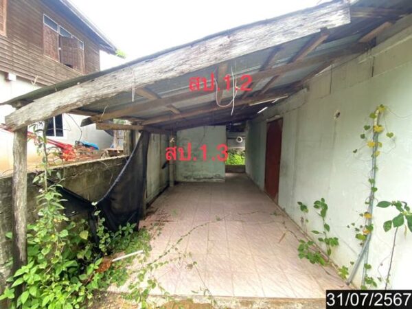 02 Single House _photo