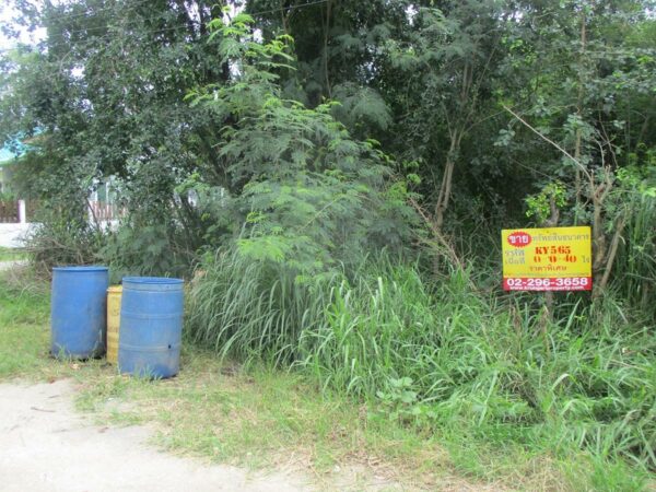 Vacant land, Nakhon Ratchasima _photo