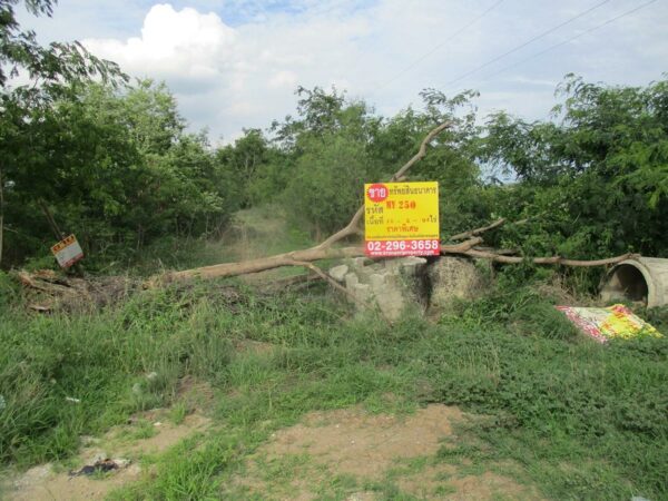 Empty Land, Phra Nakhon Si Ayutthaya _photo