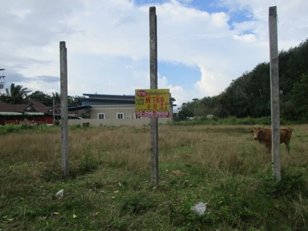 Empty Land, Phatthalung _photo