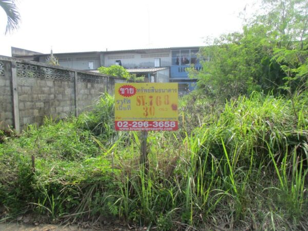 Vacant land, Nakhon Si Thammarat _photo