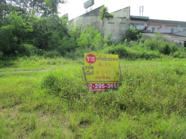 Vacant land, Nakhon Si Thammarat _photo