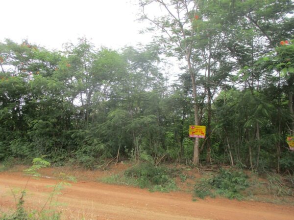 Non -empty land, Phetchabun _photo