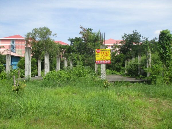 Vacant land, Maha Sarakham _photo