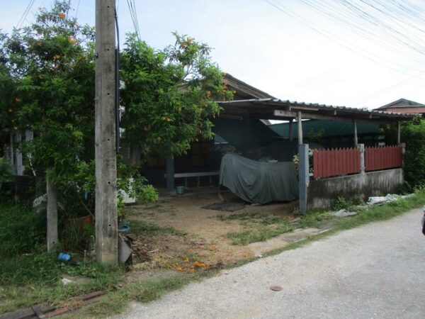 Single house, Songkhla _photo