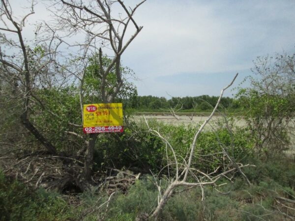 Non -empty land, Samut Sakhon _photo