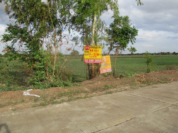 Empty land, Sukhothai _photo