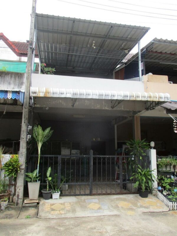 Townhouse, Surat Thani _photo