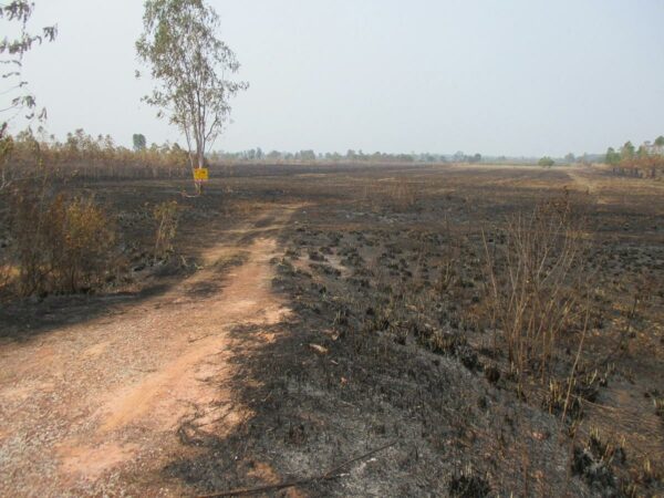 Blank land, Nong Khai _photo