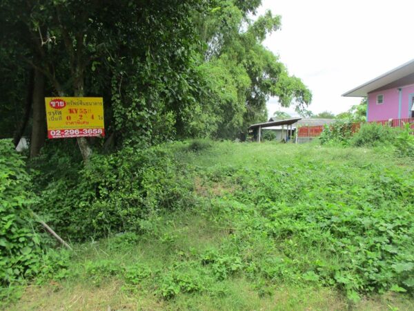 Vacant land, Ubon Ratchathani _photo