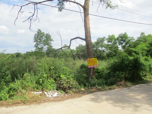 Vacant land, Prachinburi _photo