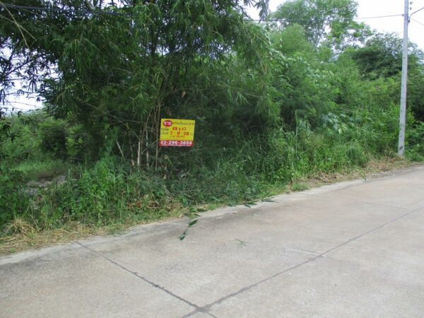 Vacant land, Prachinburi _photo