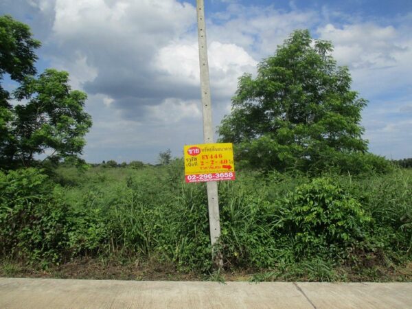 Vacant land, Prachinburi _photo