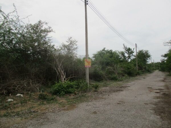 Empty land, Phetchaburi _photo