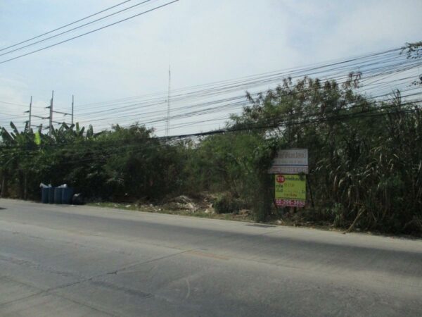 Non -empty land, Samut Sakhon _photo