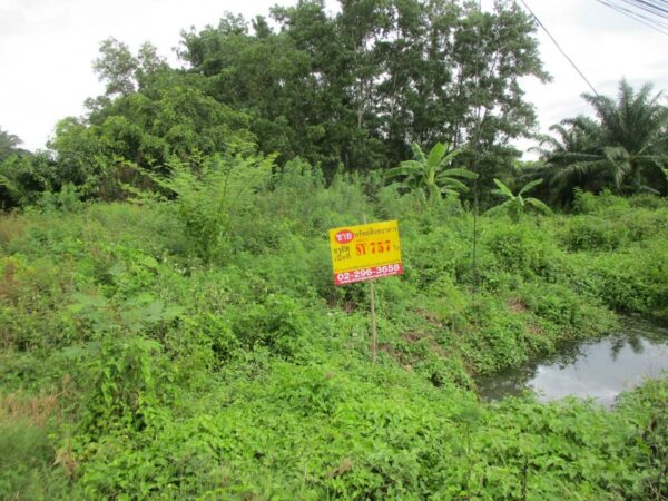 Empty Land, Surat Thani _photo