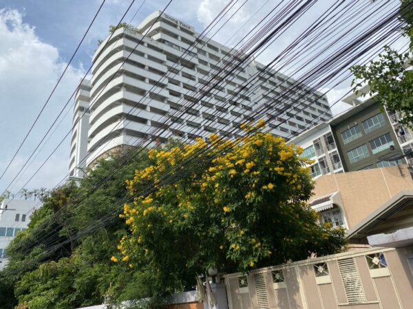 Residential apartment _photo