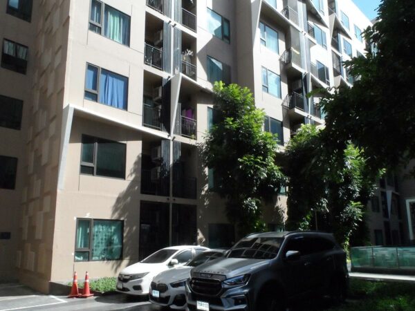 Condominium condominium building _photo