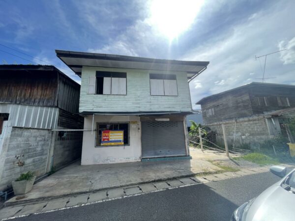 Single house _photo