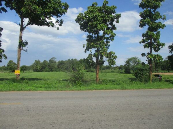 Kalasin land, Kalasin _photo