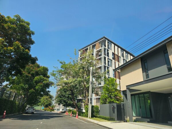 Residential apartment _photo