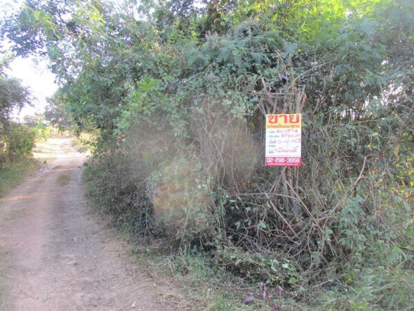 Blank land, Chiang Mai _photo