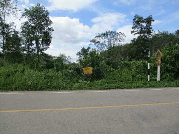 Vacant land, Nakhon Si Thammarat _photo