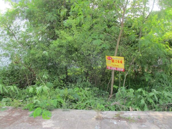 Vacant land, Nakhon Si Thammarat _photo