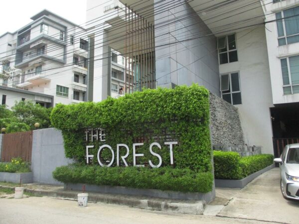 The Forest Chaengwattana _photo