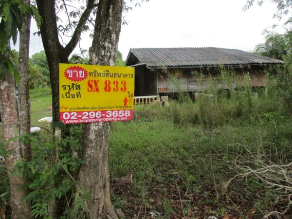 Single house, Nakhon Si Thammarat _photo