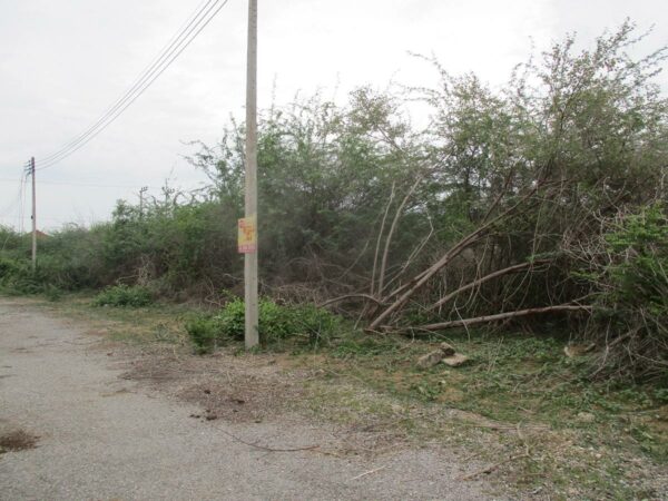 Empty land, Phetchaburi _photo