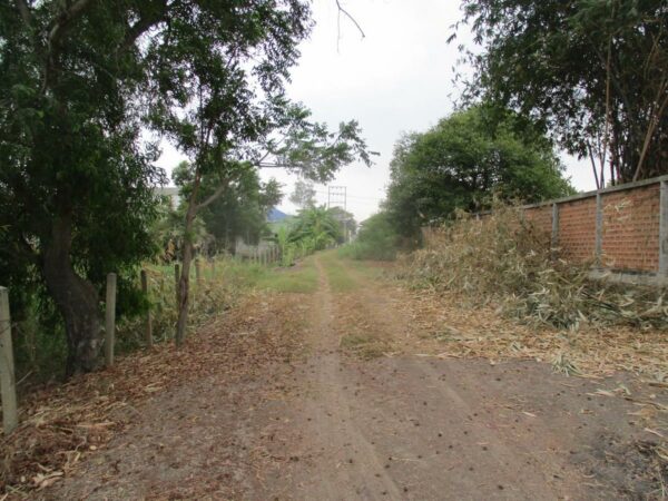 Empty Land, Suphanburi _photo